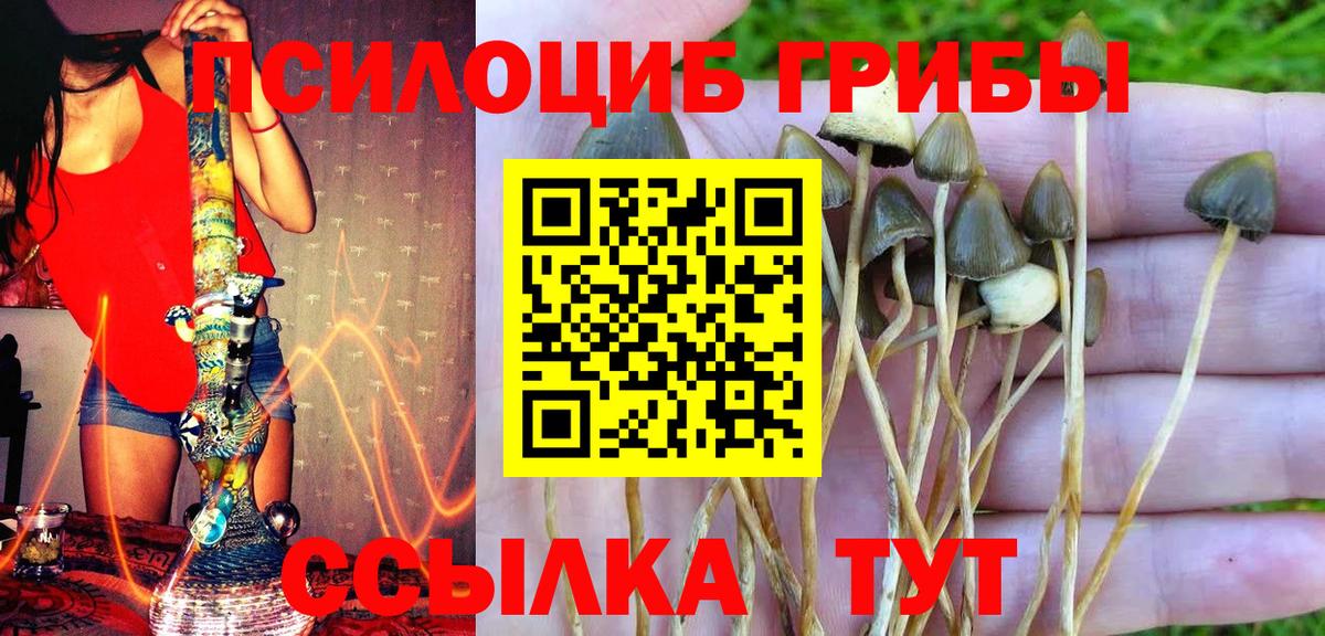 Галлюциногенные грибы MAGIC MUSHROOMS Ангарск
